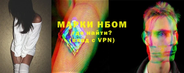 стафф Ельня