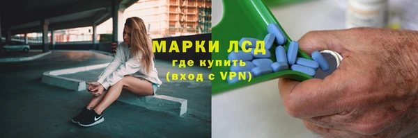 ECSTASY Елизово