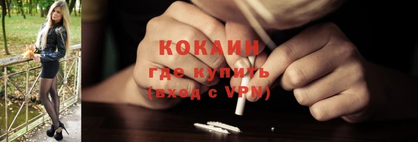 шишки Елабуга