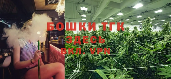 ECSTASY Елизово