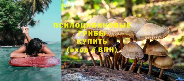 ECSTASY Елизово