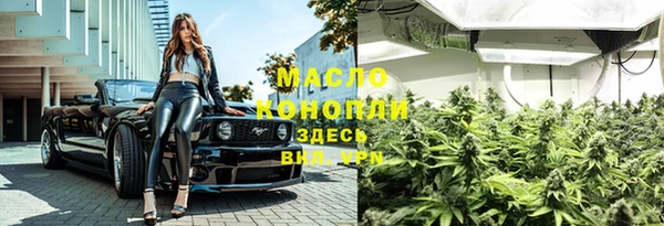 шишки Елабуга
