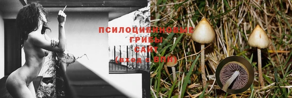 шишки Елабуга