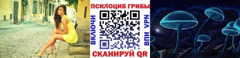 Купить  Кинель  Галлюциногенные грибы Psilocybine cubensis 