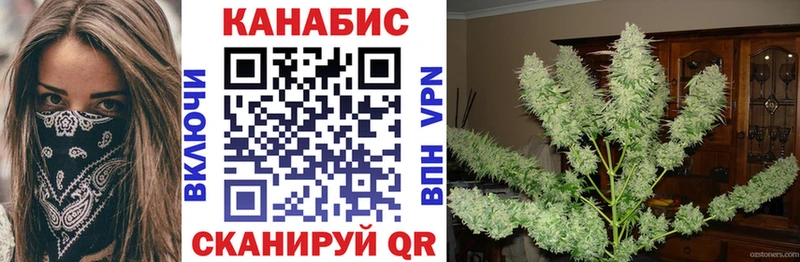 Канабис гибрид  Купить где  Кинель 